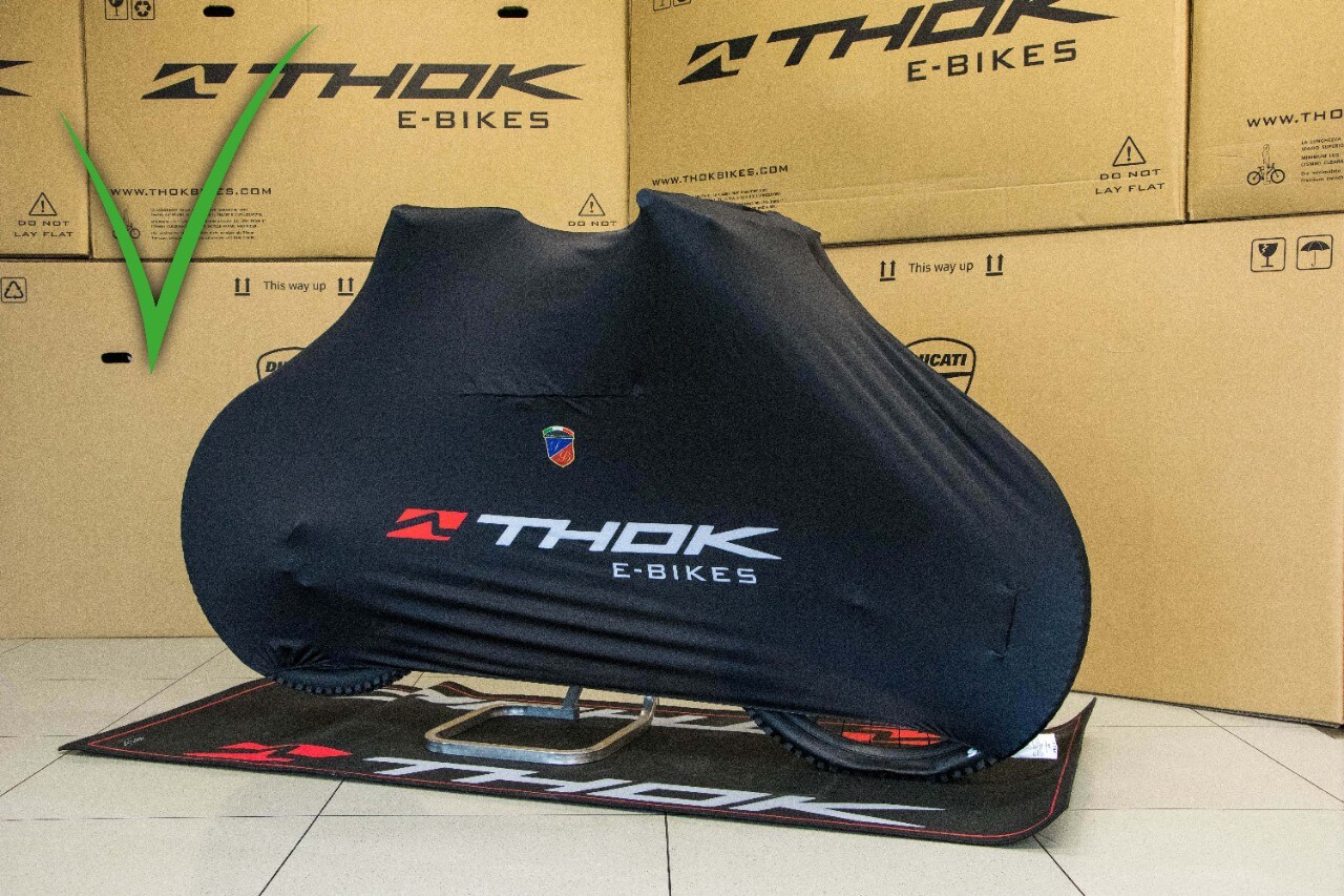 Uso e manutenzione dell’e-bike in inverno (consigli pratici)